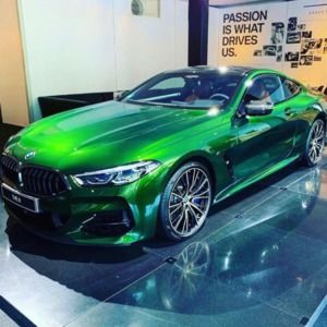 Meet your Posher, Randolph